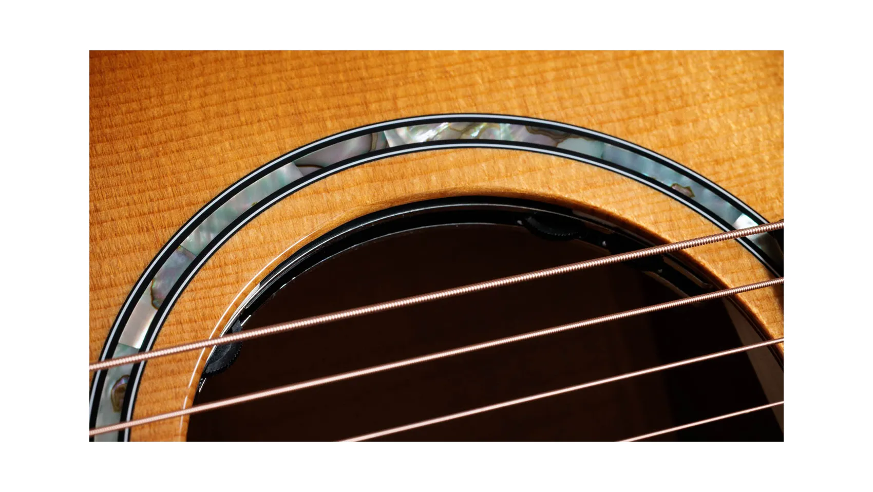 Taylor-Guitar-Next Generation